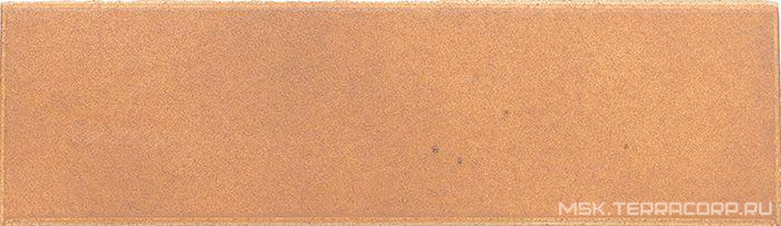 Natural Strips XX |6x24.4