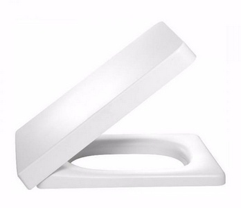 Крышка-сиденье для унитаза TERRACE, с микролифтом ZZ Jacob Delafon Terrace E70019-00