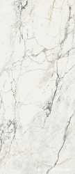 AE PAO6 278 LP 120x278