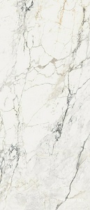 Керамогранит для пола и стены La Faenza Aesthetica AE PAO6 278 LP 120x278 188009