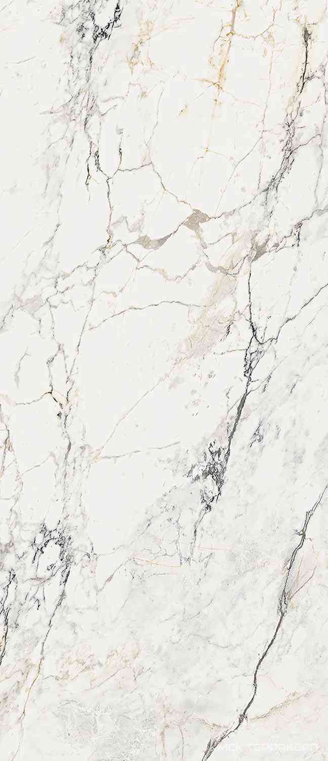 AE PAO6 278 LP 120x278