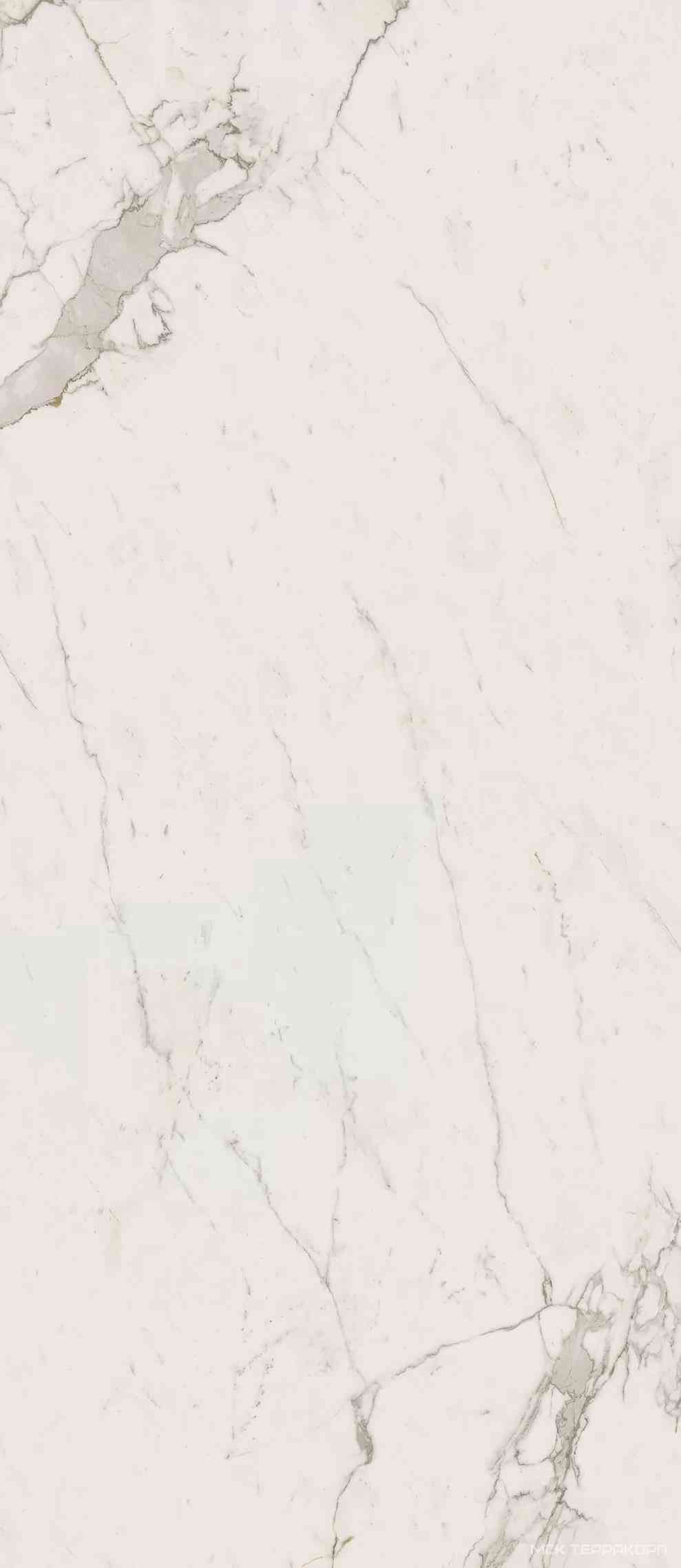 Marvel Calacatta Extra ZZ 120x278