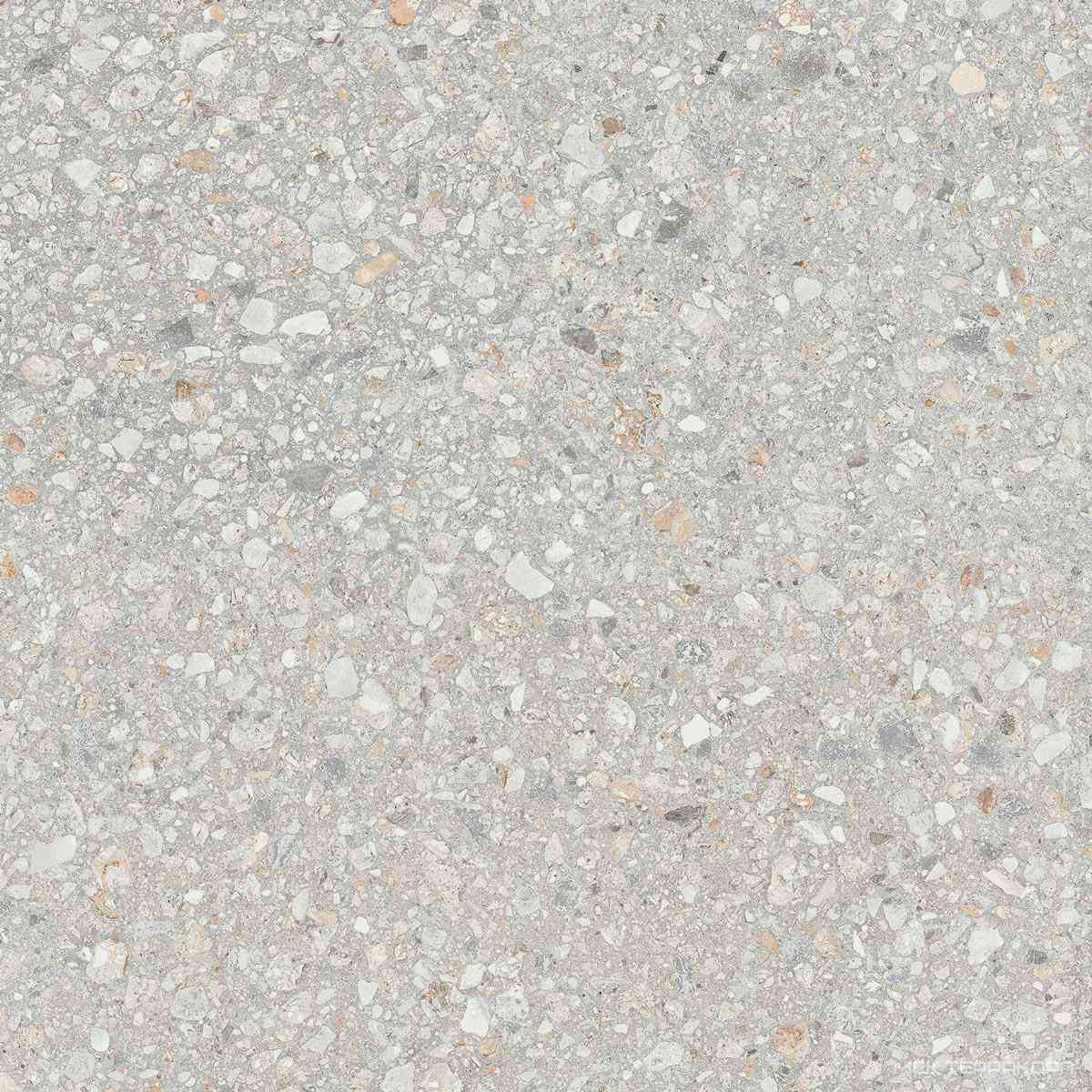 AG21 Непол.Рект.. ZZ|60х60