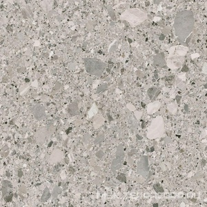 Керамогранит для пола и стены Pamesa Pietra Di Gre Antic  Perla 120x120 033.120.0037.14015