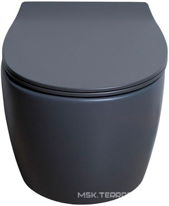 Унитаз подвесной 510х363мм, безободковый, без сиденья, (цв.антрацит),  ZZ Allen Brau Fantasy 4.11004.AN