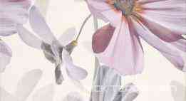Decor Infinity Blanco Flor 2 XX |32.5x60
