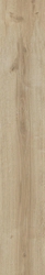 Bricola Miele |20x120