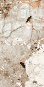 Керамогранит для пола и стены Florim Magnum Nature Mood Tundra Glossy 60x120 774905