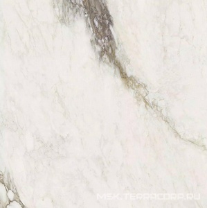 Керамогранит для пола и стены Florim Magnum Etoile De Rex Etoile Renoir Glossy  120x120 761749