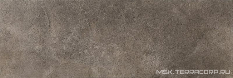 Forte beige dark 01 XX|25x75