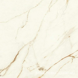 Marvel Calacatta Imperiale Matt ZZ 120x120
