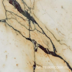 Paonazzetto lucudo XX |80x80