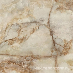 Jaipur Amaranto RT XX |80x80