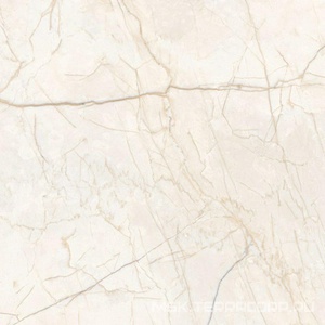 Керамогранит для пола и стены Гранитея Исеть Iset Elegant G231/ Элегантный полированный 60x60 G231PR