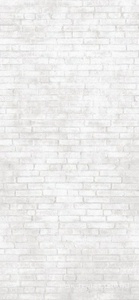 Керамогранит для пола и стены Imola Tube Bricklane 260 120x260 XX n068749