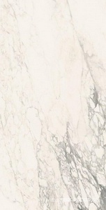 Керамогранит для пола и стены Sant Agostino Trumarmi Tm-Arabescato 60120 Kry 60x120 CSATMARK12