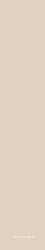 Solid Avorio |6,1x37