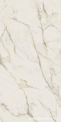 Calacatta Gold B Lap ХХ |160x320