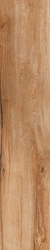 Daring Nut |24x120