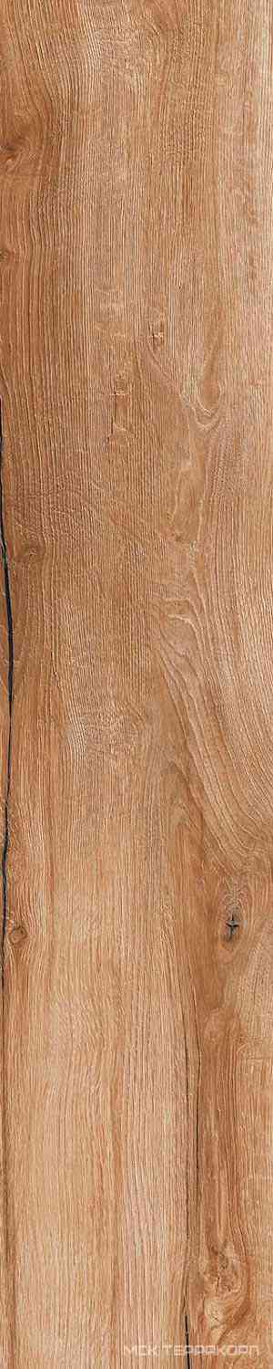 Daring Nut |24x120