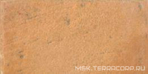 Morlupo (arancio) XX |10x20