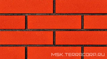 Brick Cotto XX 4x50