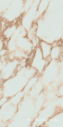 Rain Arabescato Gold matt 60x120