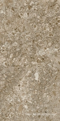 Граните Лунар Коричневый MR мат. 60x120 XX