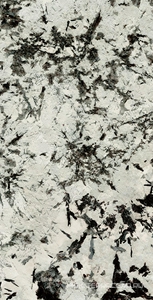 Керамогранит для пола и стены Fusure Ceramic Luxury Stone  SS12049 Pol KL 60x120 SS12049