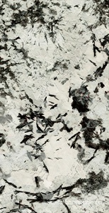 Керамогранит для пола и стены Fusure Ceramic Luxury Stone  SS12049 Pol KL 60x120 SS12049