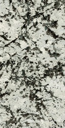 Luxury Stone SS12049 Pol KL 60x120