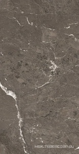 Керамогранит для пола и стены Florim Heritage Luxe Heritage Brown Glossy 60x120 775050