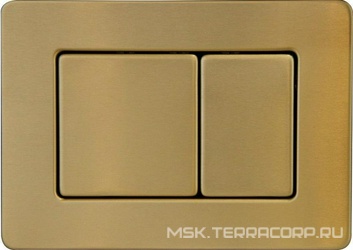 Клавиша двойного смыва, для инсталляции, нерж.сталь, цвет золото матовое ZZ