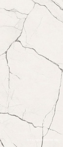 Керамогранит для пола и стены Imola The Room STA VP6 278 LP 120x278 188079