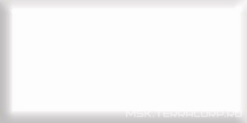 Биселадо Моноколор белыйXX l9.8х19.8