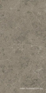 Керамогранит для пола и стены Atlas Concorde Italy Marvel Meraviglia  Grigio Elegante Lapp. 60x120 AJHW
