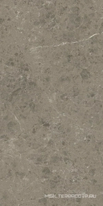 Керамогранит для пола и стены Atlas Concorde Italy Marvel Meraviglia  Grigio Elegante Lapp. 60x120 AJHW