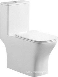 Унитаз напольный, моноблок, арматура, сиденье с микролифтом в компл., Neon ZZ