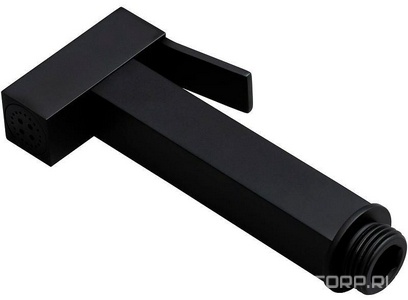 Лейка гигиенического душа, (латунь цв.черный матовый),  ZZ Allen Brau Infinity 5.21A05-31