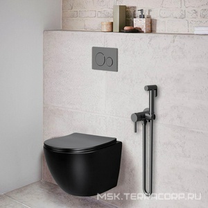 Смеситель совмещённый с гигиеническим душем, готовый комплект: лейка, шланг, скрытая часть, (цв.вороненая сталь), Vincea ZZ Vincea Универсал VHFW-101GM