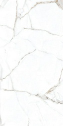Rockford Satin 60x120