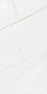 Керамогранит для пола и стены Idalgo Граните Сиена  белый MR матовый 60x120 ID9100b101MR