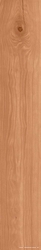 Log Cansei Darsena ZZ 18.5x150