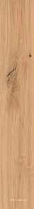 Керамогранит для пола и стены Atlas Concorde Italy Log  Icon Oak Forest 20x120  AX3B