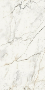 Керамогранит для пола и стены La Faenza Aesthetica AE PAO6 12 LP 60x120 179384