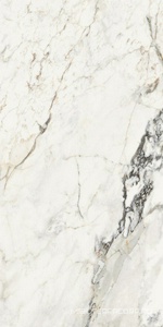 Керамогранит для пола и стены La Faenza Aesthetica AE PAO6 12 LP 60x120 179384