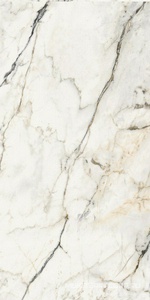 Керамогранит для пола и стены La Faenza Aesthetica AE PAO6 12 LP 60x120 179384