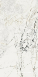 AE PAO6 12 LP |60x120