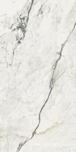 Керамогранит для пола и стены La Faenza Aesthetica AE PAO6 12 LP 60x120 179384