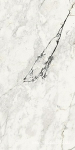 Керамогранит для пола и стены La Faenza Aesthetica AE PAO6 12 LP 60x120 179384